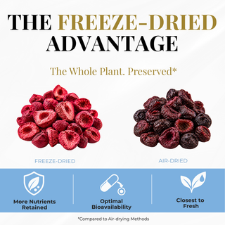 Eclectic Herb Berry Tart Cherry Powder Freeze-dried Cherry's vs. air-dried Cherry's. The freeze-Dried advantage, the whole plant preserved, more nutrients retained, optimal bioavailability, and closest to fresh