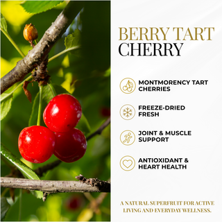 Berry Tart Cherry promotional graphic with a photo of three bright red cherries on a tree branch on the left, and text on the right reading 'BERRY TART CHERRY' plus benefits: Montmorency tart cherries, freeze-dried fresh, joint & muscle support, antioxidant & heart health.