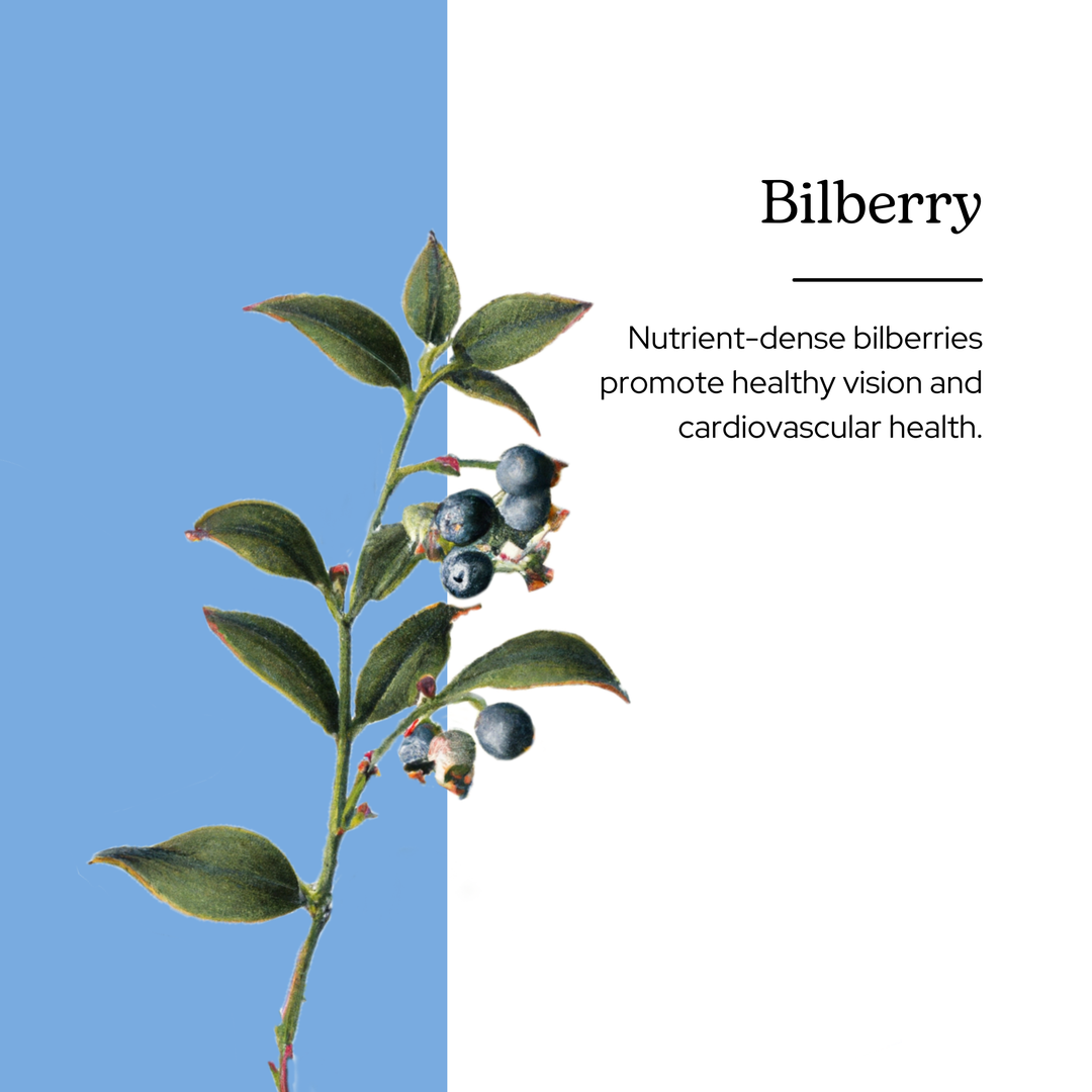 Bilberry Capsules