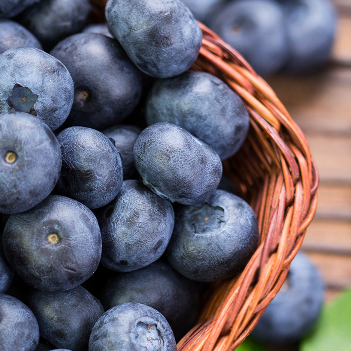 Fresh wildcrafted Eclectic Herb Bilberries
