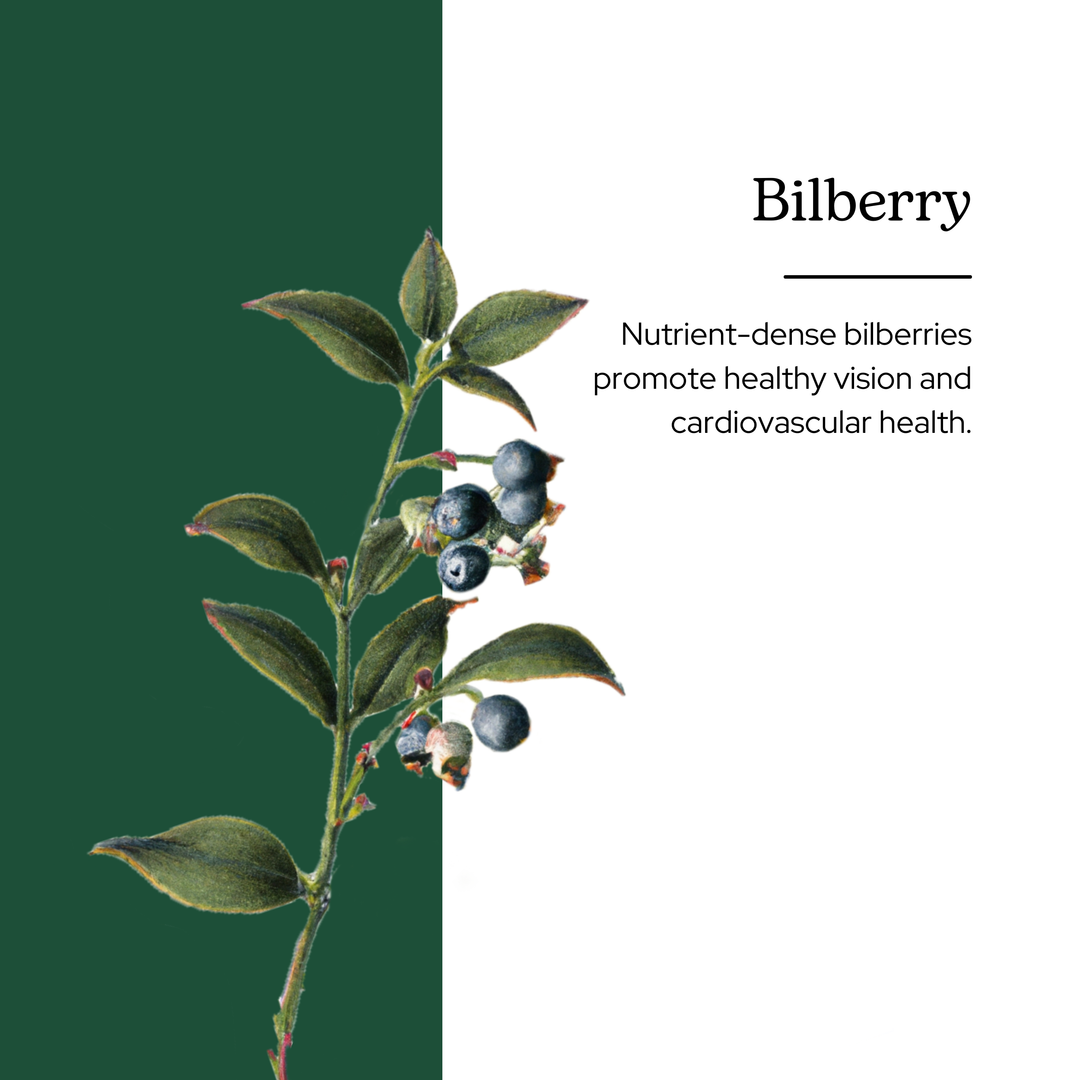 Bilberry Powder