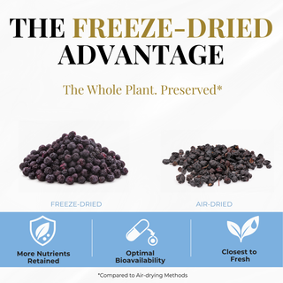 Eclectic Herb Bilberry Powder Freeze-dried Bilberries vs. air-dried Bilberries. The freeze-Dried advantage, the whole plant preserved, more nutrients retained, optimal bioavailability, and closest to fresh