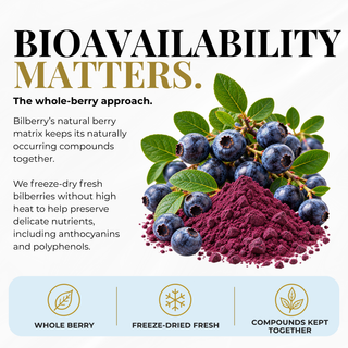 Eclectic Herb Bilberry – Bioavailability Matters: Freeze-Dried Bilberry vs. Air-Dried Bilberry. Preserve whole-fruit integrity, retain more nutrients, support optimal bioavailability, and stay closer to fresh.
