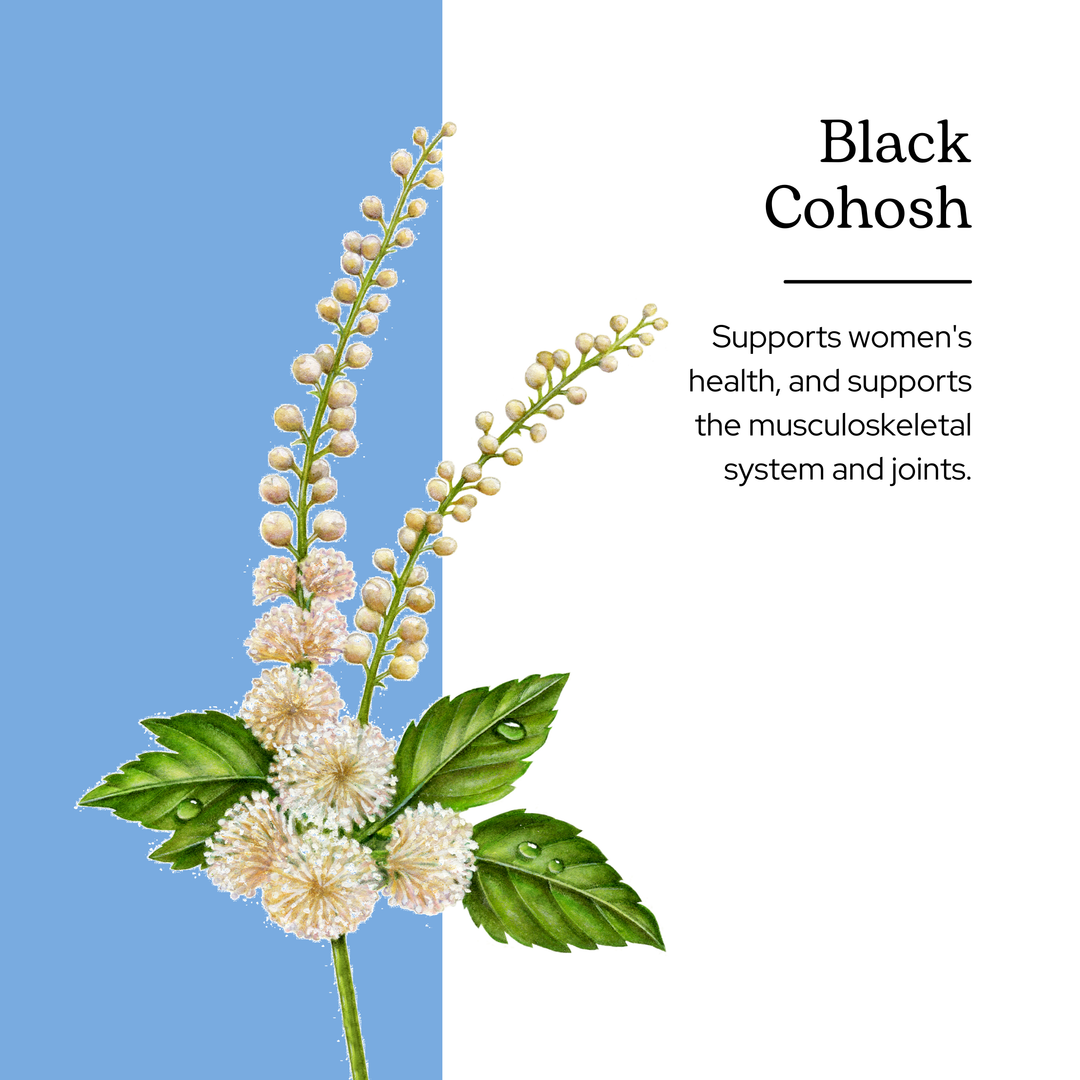 Black Cohosh Capsules