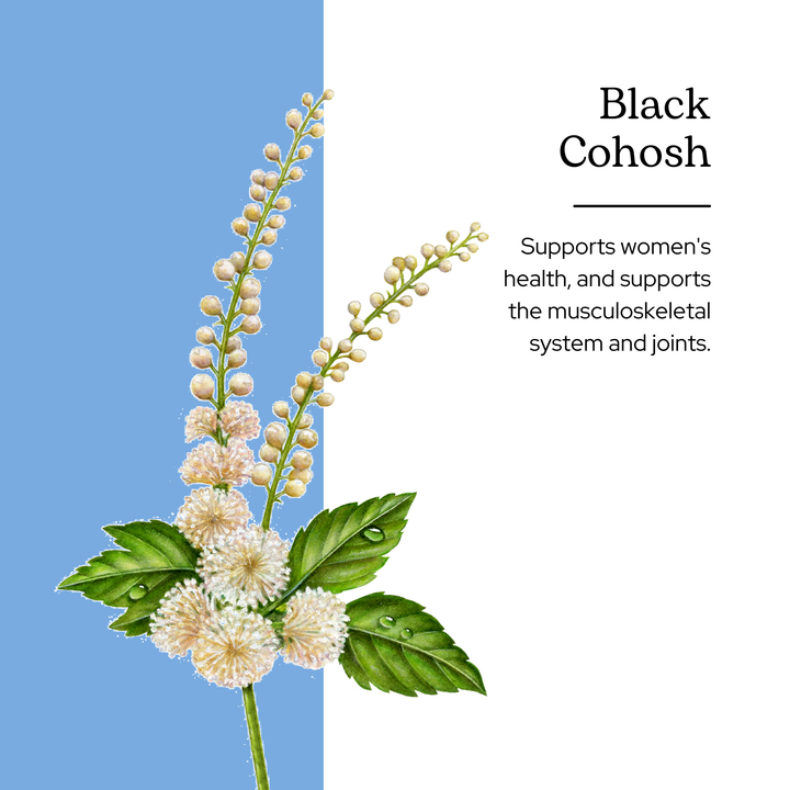 Black Cohosh Capsules