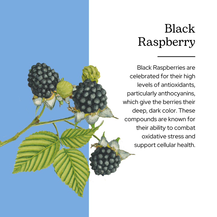 Black Raspberry Capsules