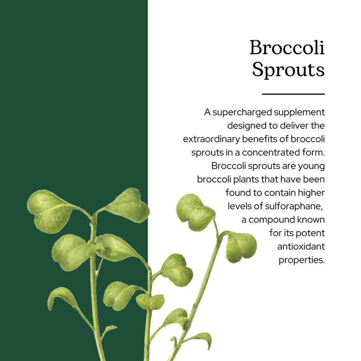 Broccoli Sprouts Powder