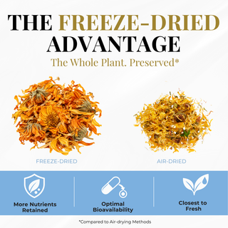 Calendula Capsules