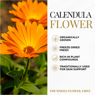 Calendula Capsules