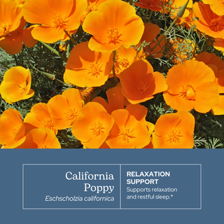 California Poppy Extract