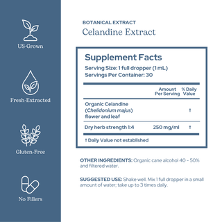 Celandine Extract