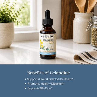 Celandine Extract