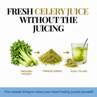 Promotional graphic for celery juice powder. The headline reads 'FRESH CELERY JUICE WITHOUT THE JUICING' above a process illustration showing a bunch of organic celery, a pile of green freeze-dried powder, and a glass of green juice with a spoon.