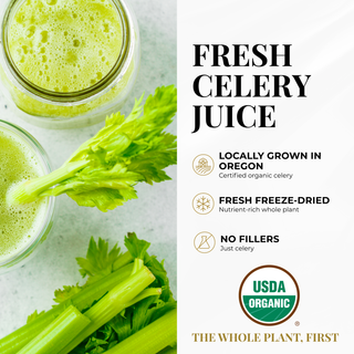 Celery Juice