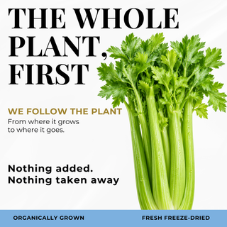 Eclectic Herb Follows The whole Plant First graphic. We follow the plant from where it goes to where it goes. Nothing added. Nothing taken away. Ethically wildcrafted and freeze-dried.