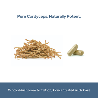 Organic Cordyceps capsules for energy, immune support, and respiratory wellness from US-grown freeze-dried mushrooms