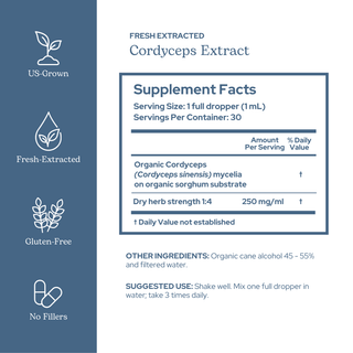 Bottle of Cordyceps extract supplement highlighting energy support and athletic stamina benefits