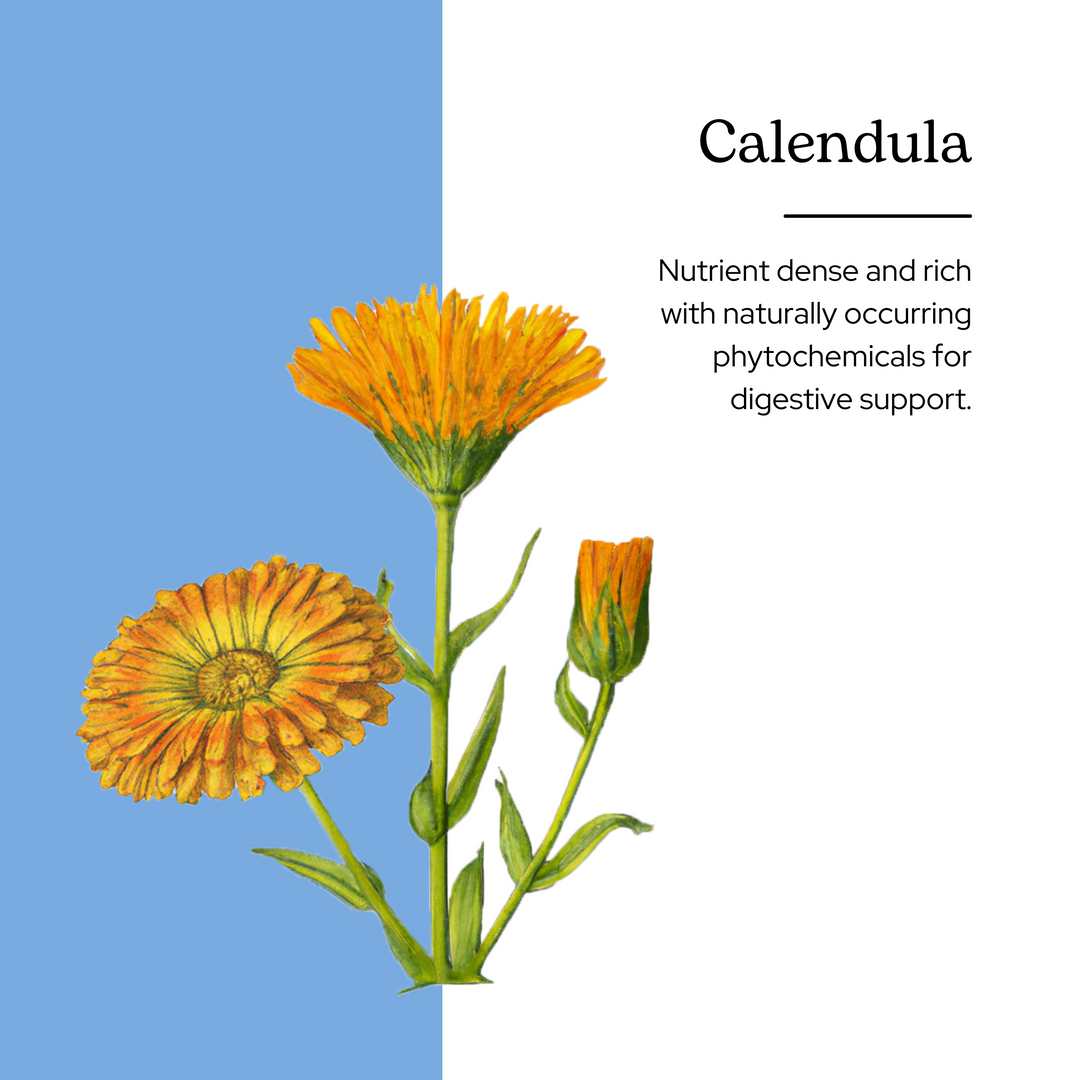 Calendula Capsules