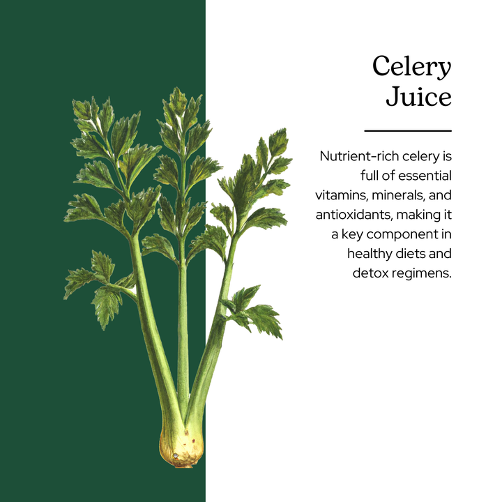 Celery Juice