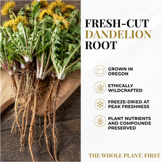 Dandelion Root Capsules