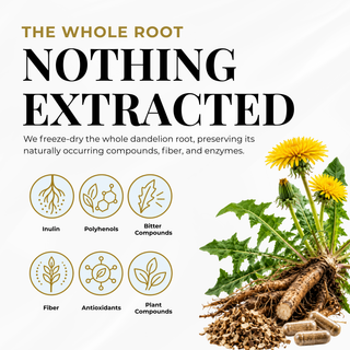 Dandelion Root Capsules