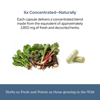 Bottle of Deep Cleanse Capsules featuring natural detox ingredients for digestive and intestinal wellness
