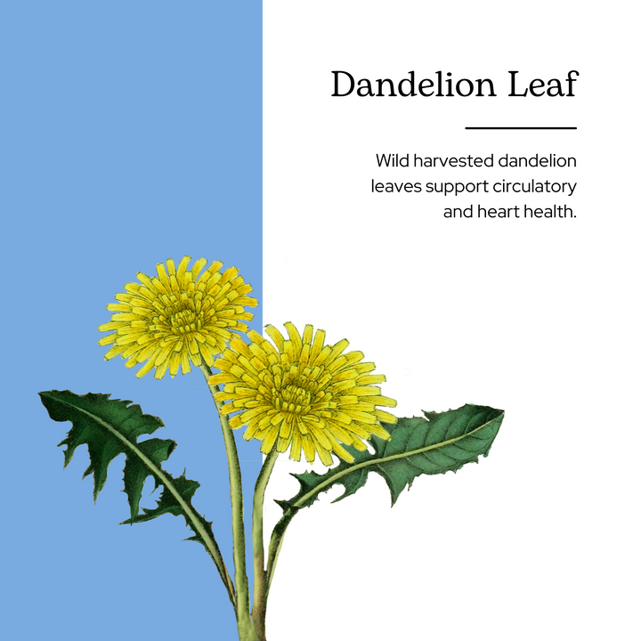 Dandelion Leaf Capsules