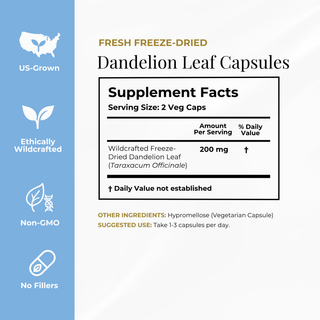 A product information graphic for Fresh Freeze-Dried Dandelion Leaf Capsules. The left side has a light blue vertical banner with white icons and text reading US-Grown, Ethically Wildcrafted, Non-GMO, and No Fillers.