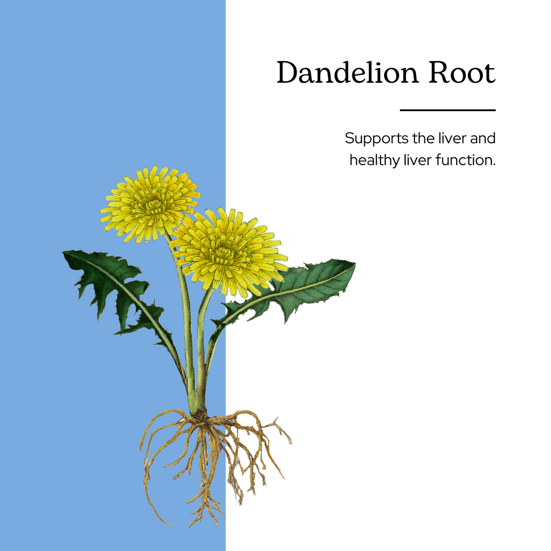 Dandelion Root Capsules