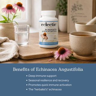 Echinacea angustifolia capsules for immune and seasonal wellness support, organic, freeze-dried, vegan, non-GMO supplement