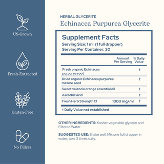 Bottle of organic Echinacea purpurea glycerite for immune support with natural ingredients and clean formula
