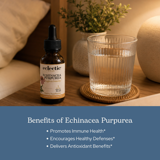 Bottle of Echinacea purpurea glycerite with organic immune-support formula and natural ingredients