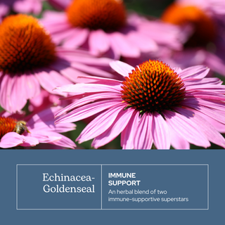 Echinacea-Goldenseal Capsules