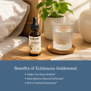 Echinacea Goldenseal Glycerite