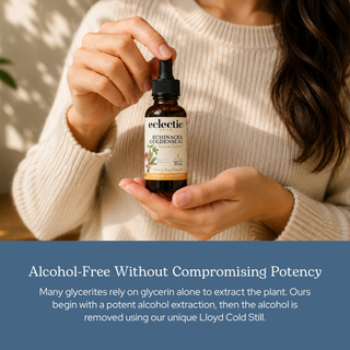 Echinacea Goldenseal Glycerite