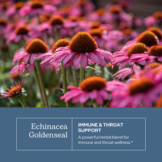 Echinacea Goldenseal Throat Spray