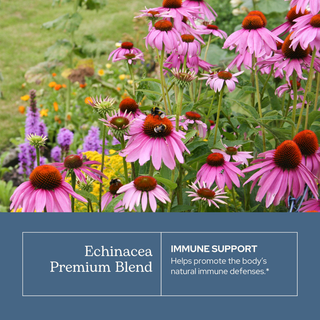 Echinacea Premium Blend Glycerite