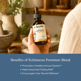 Echinacea Premium Blend Glycerite
