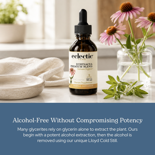 Echinacea Premium Blend Glycerite