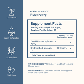 Elderberry Glycerite