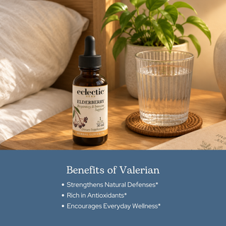 Elderberry Glycerite