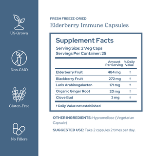 Elderberry immune capsules with wildcrafted berries and organic botanicals for seasonal wellness and antioxidant support