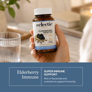 Elderberry immune capsules with wildcrafted elderberry, blackberry, ginger, and clove for seasonal wellness and antioxidant support