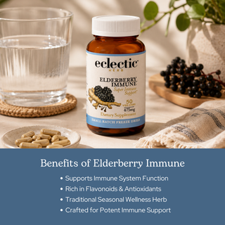 Elderberry immune capsules with wildcrafted elderberry, blackberry, ginger, and clove for seasonal wellness and antioxidant support