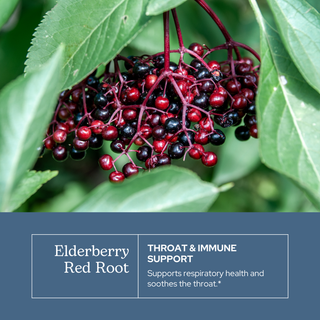 Elderberry Red Root Throat Spray