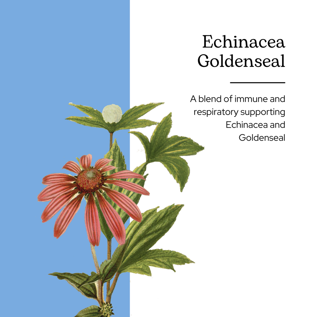 Echinacea Goldenseal Extract