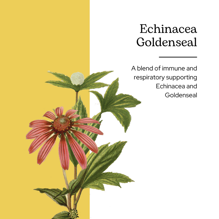 Echinacea Goldenseal Kid (Strawberry)