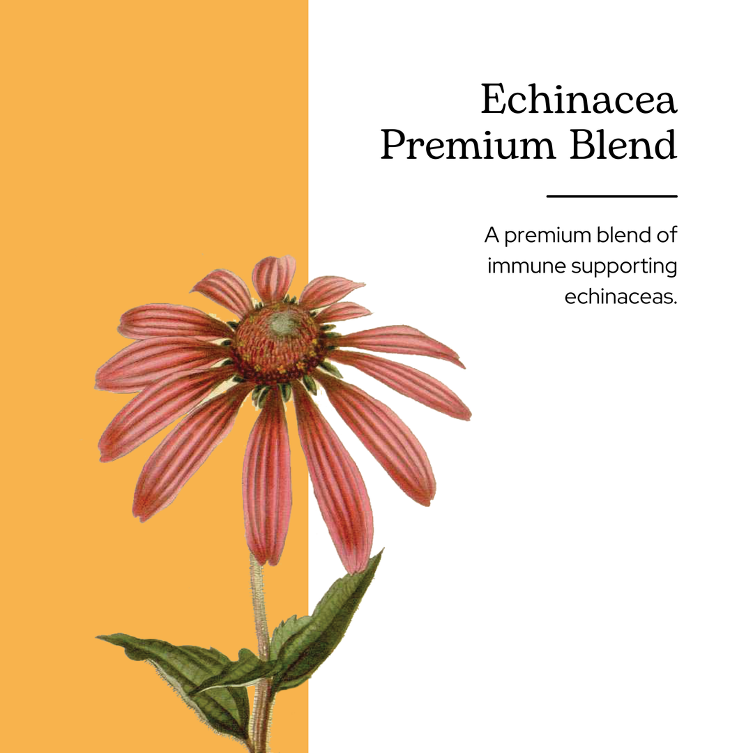 Echinacea Premium Blend Glycerite