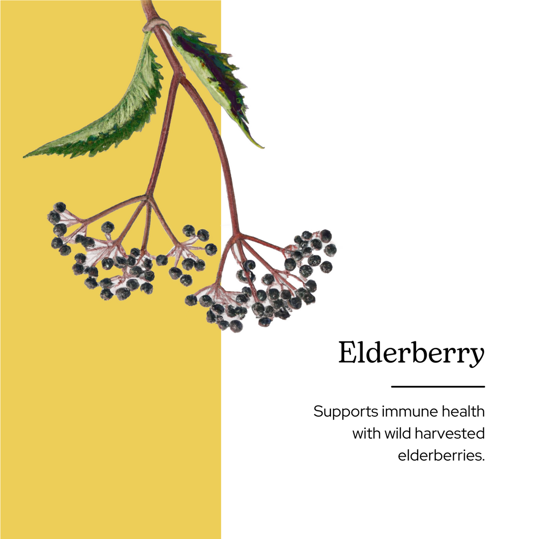 Elderberry Kids