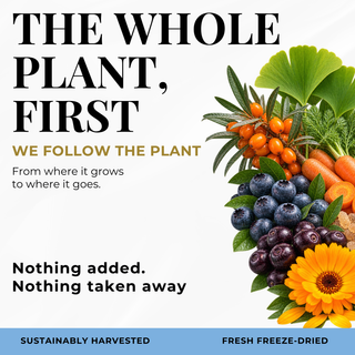 Eclectic Herb Follows The whole Plant First graphic. We follow the plant from where it goes to where it goes. Nothing added. Nothing taken away. Ethically wildcrafted and freeze-dried.